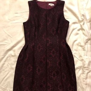 NWOT Calvin Klein Lace overlay Dress